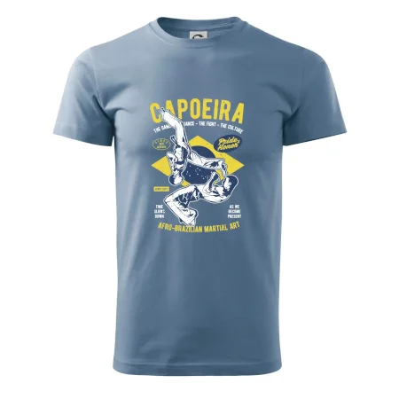 Capoeira  Afro-brazil art