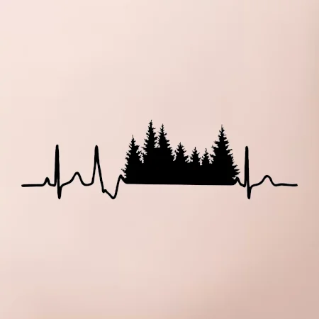 EKG les
