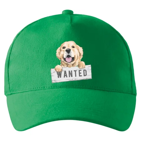 Zlatý retriever - šteniatko wanted