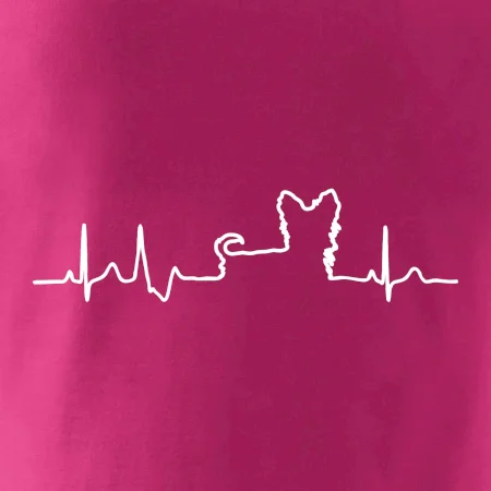 Yorkshirský teriér EKG