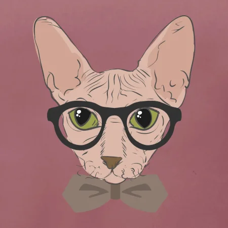 Hipster sphynx
