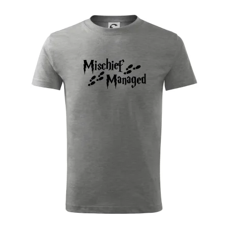 Harry - Mischief Managed