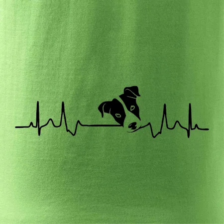 Jack Russell Terriér Ekg