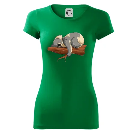 Koala na vetve