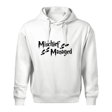 Harry - Mischief Managed