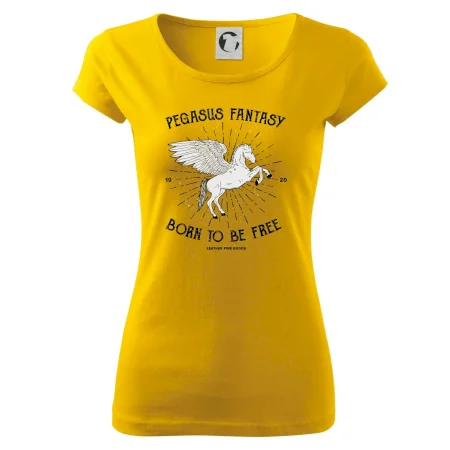 Pegasus fantasy