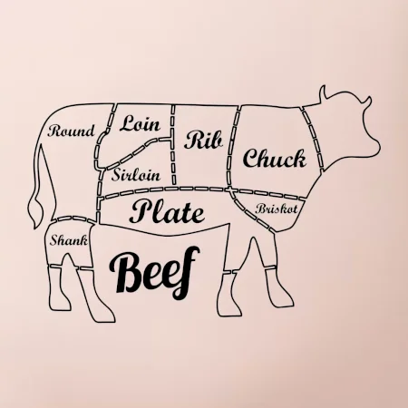 Krava nákres rozrezanie Anglicky