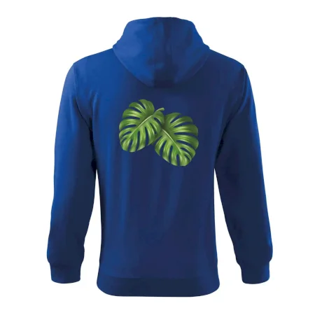 Monstera - dva listy