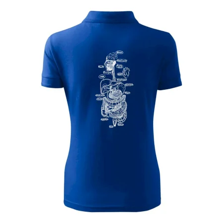 Skica ľudských orgánov