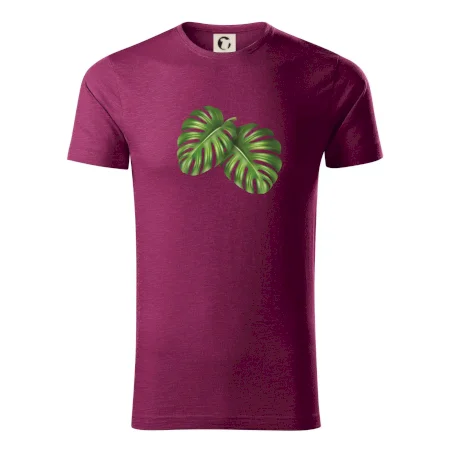 Monstera - dva listy