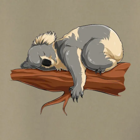 Koala na vetve