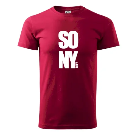 SO NY city