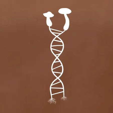 DNA huby
