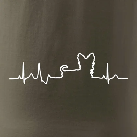 Yorkshirský teriér EKG