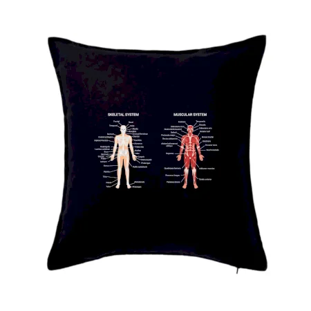 Skelet and Moscular system