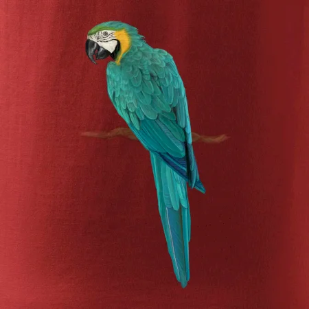Ara