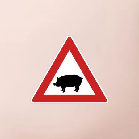 Dopravná značka - Pozor prasa domáca