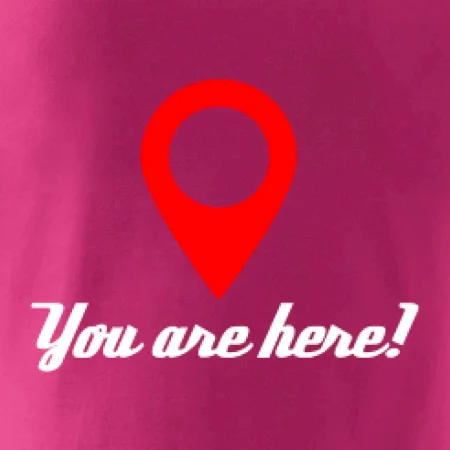 You are here