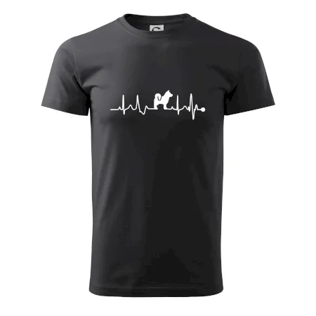 Shiba-Inu EKG