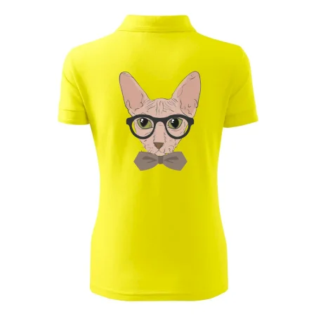 Hipster sphynx