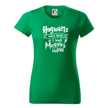 Harry - Hogwarts wasn’t hiring, so I teach Muggles instead