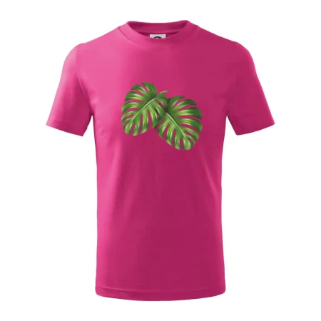 Monstera - dva listy