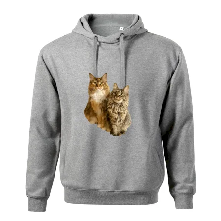 Mačky vectorizované (Moňas)