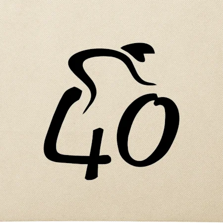 Cyklista oslavuje štyridsiatku (40)
