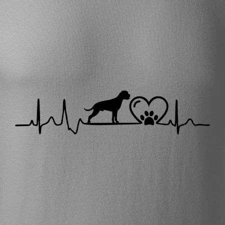 Nemecký boxer EKG