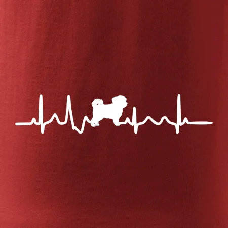 Havanský psík ekg