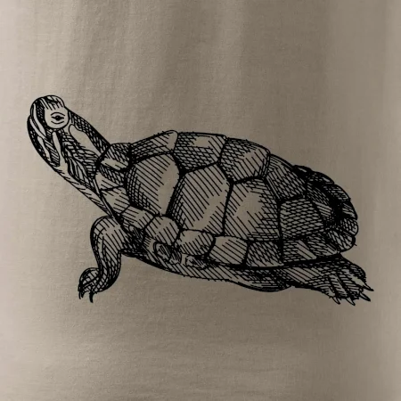 Ceruzkou kreslená korytnačka