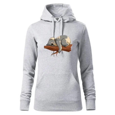 Koala na vetve