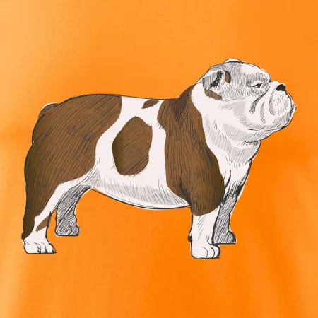 Vintage English bulldog