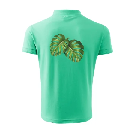 Monstera - dva listy