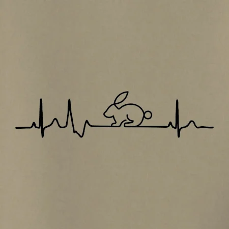 EKG králik