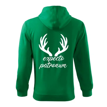Harry - Expecto patronum