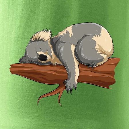 Koala na vetve