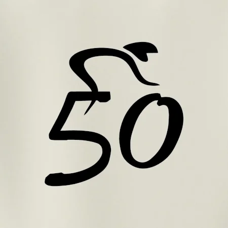 Cyklista oslavuje päťdesiatku (50)