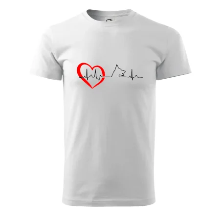 Nemecký ovčiak ekg