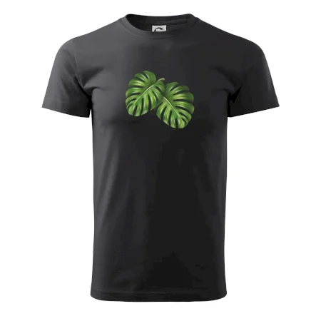 Monstera - dva listy
