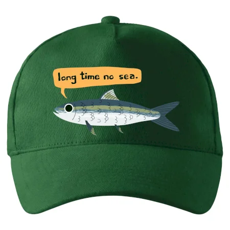 Long time no sea