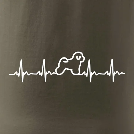 Bišónik ekg