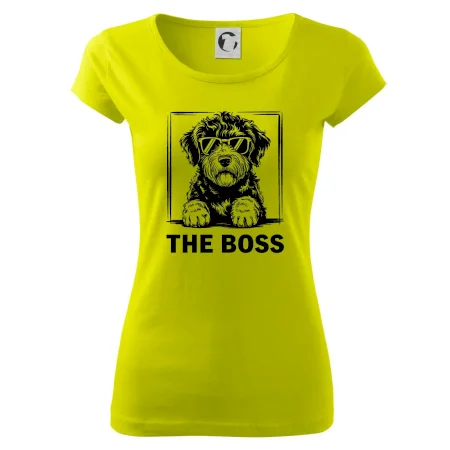 Lagotto romagnolo the boss