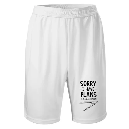 Sorry I have plans - architect