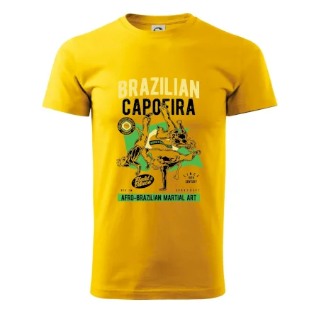 Brazilian Capoeira