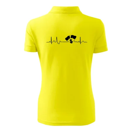 Jack Russell Teriér hrubosrstý Ekg