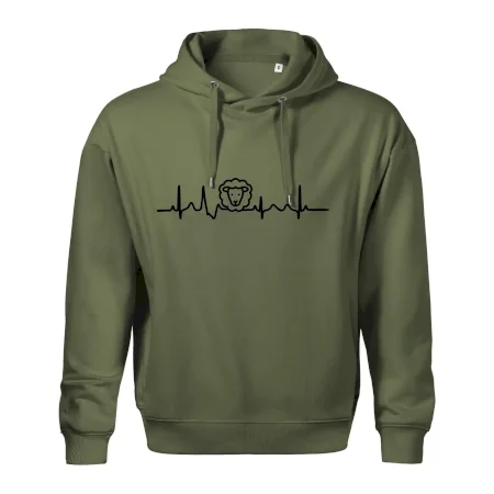 Ekg ovce