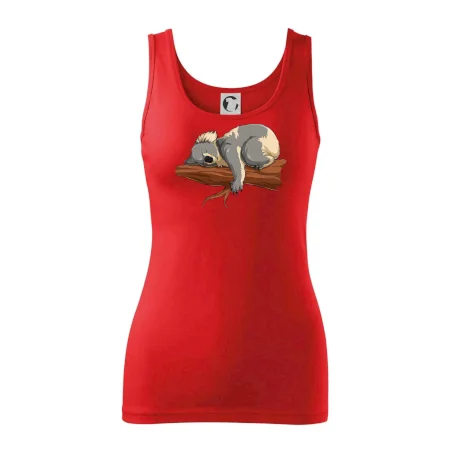 Koala na vetve