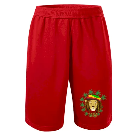 Rasta Lion