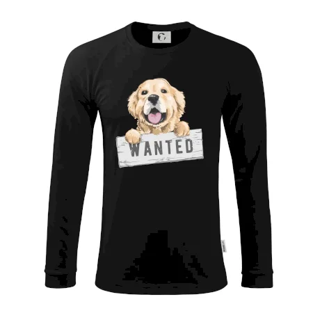 Zlatý retriever - šteniatko wanted